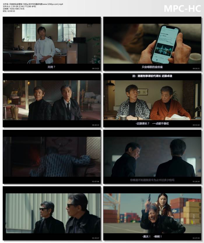 2024年日本动作剧情片《归来的玩命警探》1080P中字