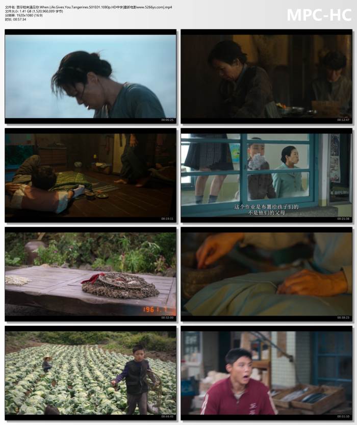2025年李知恩,朴宝剑韩剧《苦尽柑来遇见你》全集